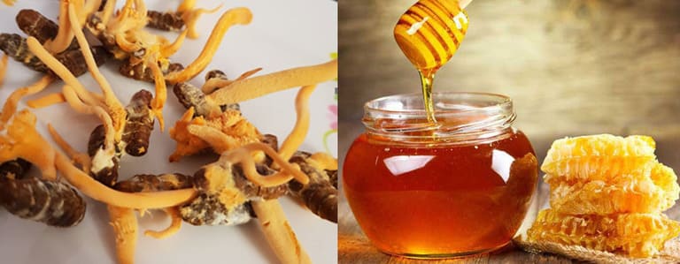 Đông trùng hạ thảo hấp với mật ong hoặc đường phèn có tính kháng khuẩn cao và có nhiều dưỡng chất, ngọt, dễ ăn
