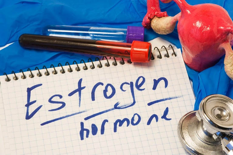 Thực phẩm không làm gia tăng chỉ số hormone estrogen trong cơ thể quá mức là tiêu chí hàng đầu trong việc xây dựng thực đơn cho phụ nữ bị u xơ tử cung