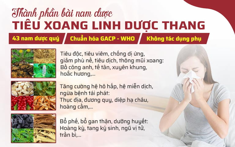 Một số nhóm thảo dược tiêu biểu trong bài thuốc Tiêu Xoang linh dược thang 