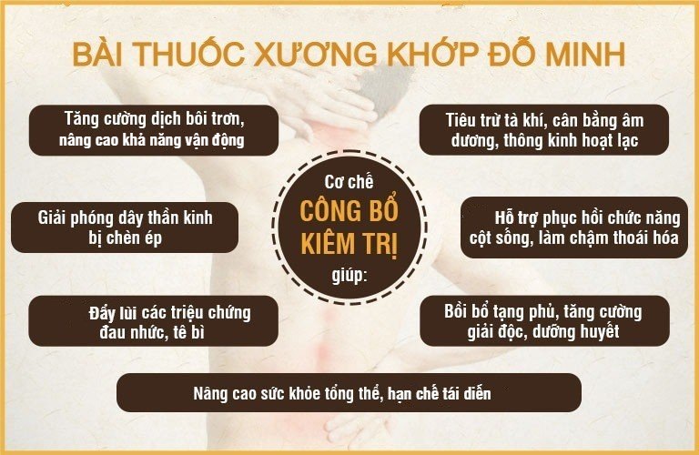 Cơ chế bài thuốc xương khớp gia truyền của Đỗ Minh Đường