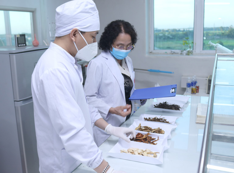 Bác sĩ Lê Phương là người trực tiếp tham gia vào quá trình nghiên cứu và kiểm định dược liệu