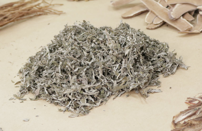 Ngải diệp là một trong những thảo dược quý được bổ sung trong liệu trình xử lý mụn Nhất Nam Hoàn Nguyên Bì