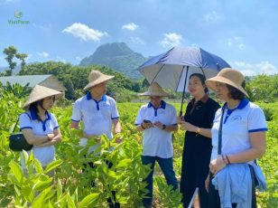 trung tam duoc lieu vietfarm