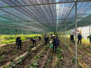 trung tam duoc lieu vietfarm