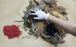 Hiện nhiều bà con chuyển hướng sang xử lý viêm xoang bằng thảo dược