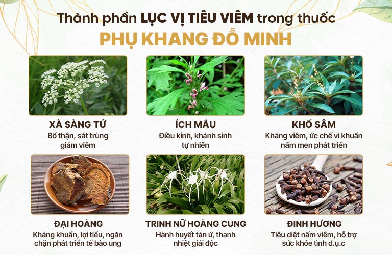 Thành phần Lục Vị Tiêu Viêm trong Phụ Khang Đỗ Minh