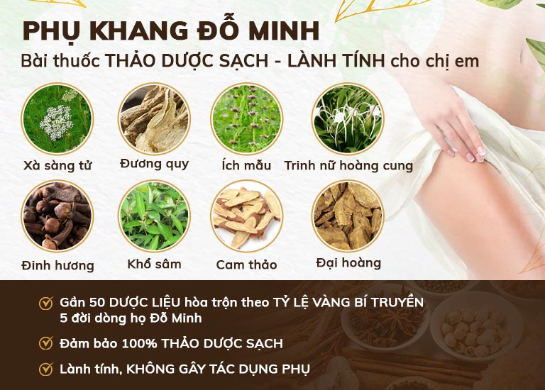 Một số thành phần chính có trong bài thuốc hỗ trợ chữa viêm âm đạo tại nhà của Đỗ Minh Đường