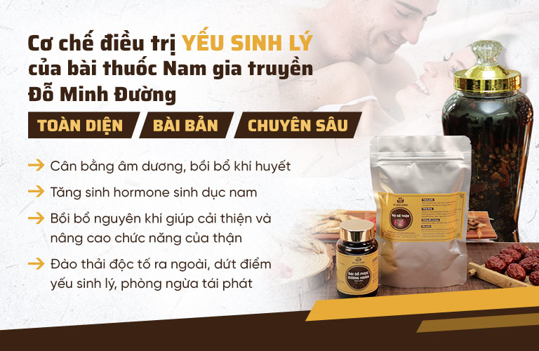 Cơ chế điều trị Yếu sinh lý của Sinh lý nam Đỗ Minh