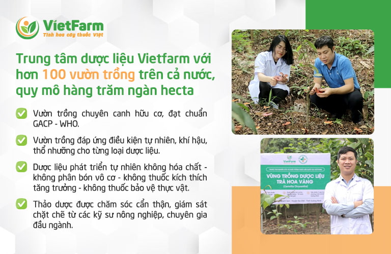 Thông tin Trung tâm dược liệu Quốc gia Viefarm