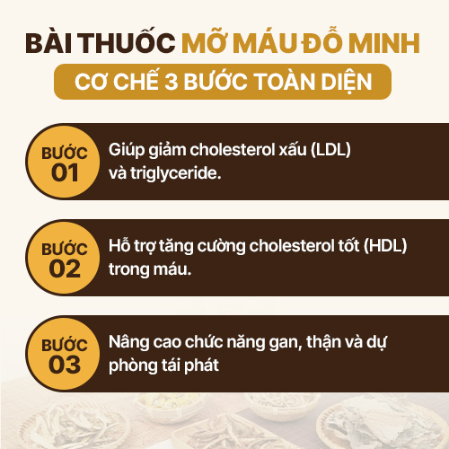 Cơ chế 3 bước điều trị mỡ máu tại Đỗ Minh Đường