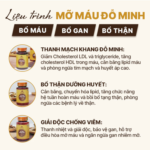 Liệu trình Mỡ Máu Đỗ Minh điều trị đầy đủ gồm 3 bài thuốc