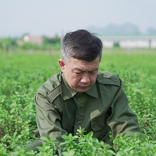 Tất cả các vị thuốc đều được tuyển chọn kỹ lưỡng từ các vườn dược liệu chuẩn hữu cơ