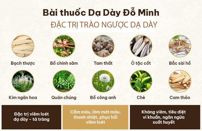 Công thức độc quyền được tạo nên từ 10 vị thảo dược quý, chuyên trị các bệnh về dạ dày