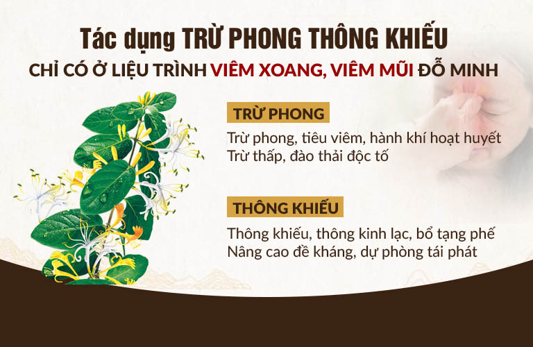 Thang thuốc chữa viêm xoang Đỗ Minh Đường cho hiệu quả TRỪ PHONG THÔNG KHIẾU có 1 - 0 - 2