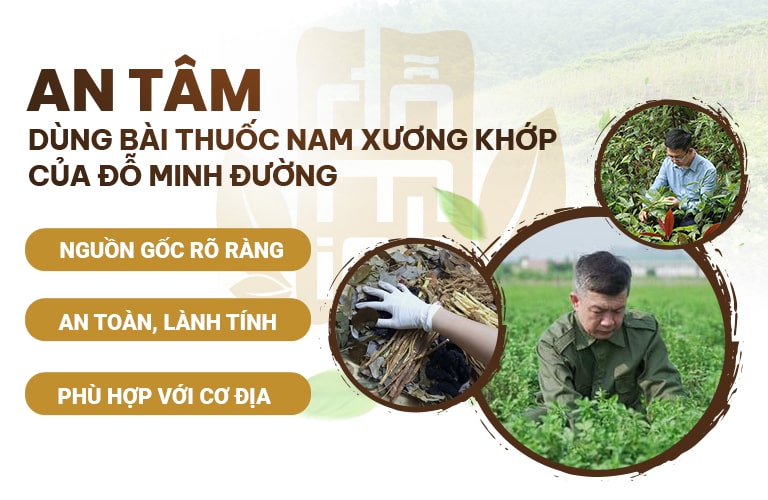 Thảo dược tại Đỗ Minh Đường nguồn gốc rõ ràng, an tâm sử dụng